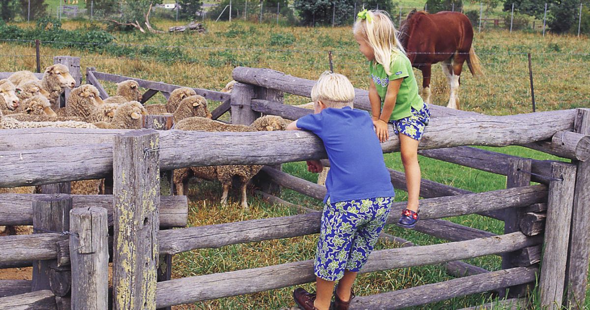 Sydney farm stays Sydney, Australia Official Travel